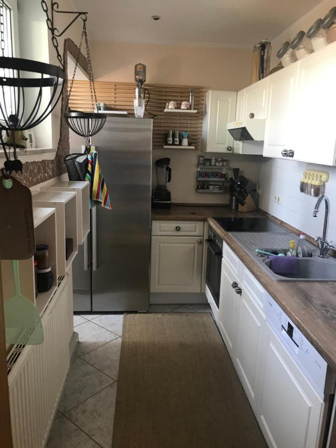 Dachterrassen Idylle Ueber Den Daechern Dresdens Exteriér fotografie